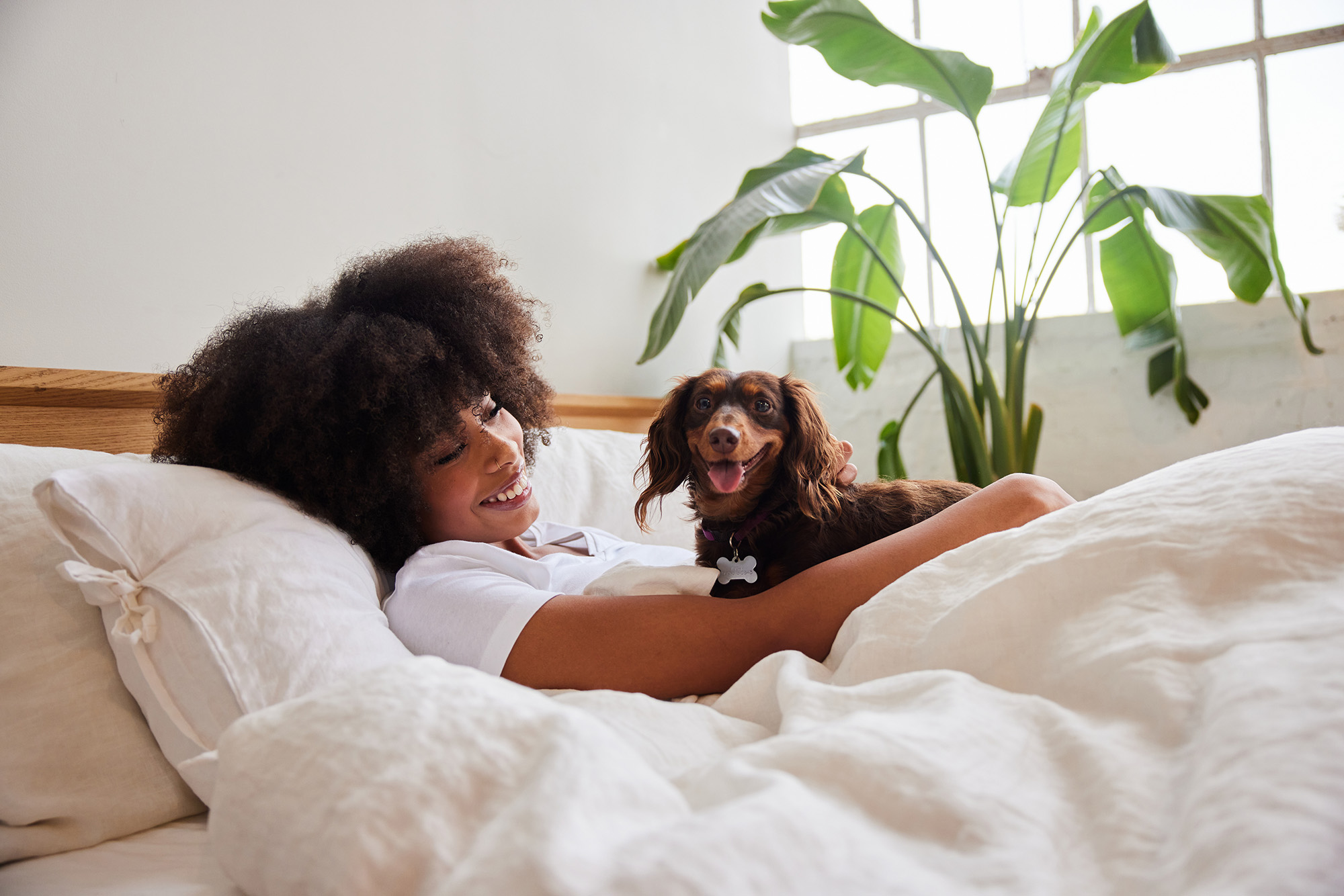 woman and small dog on bed